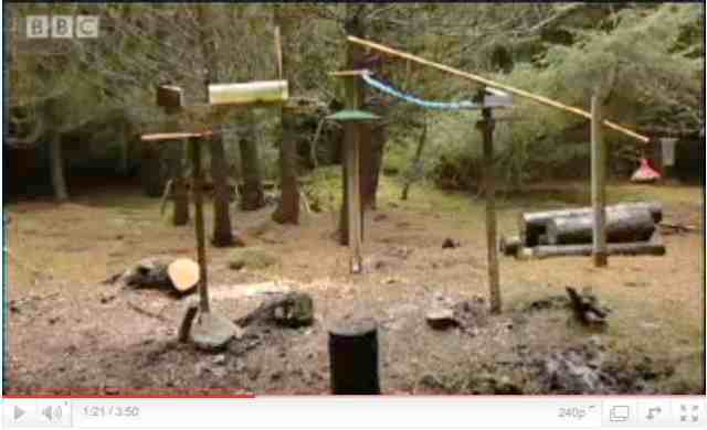 Red squirrel obstacle course