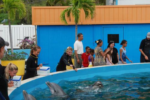 President Obama and his daughters at Sea Life Park, Oahu/Sea Life Park, San Francisco Chronicle, Feb 15, 09