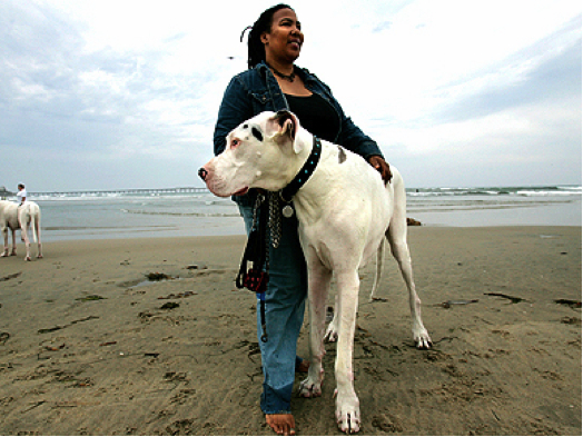 Titan and owner Diana Taylor, San Diego, CA, undated/DogoNews, Nov 16, 09