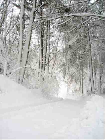 Driveway, Manchester by the Sea, MA, Dec 27, 2010/Bernadette Carr, nytimes.com