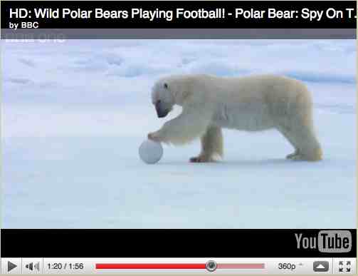 Polar bear paws Snowball Cam, image from “Polar Bear: Spy on the Ice”/BBC One, youtube.com