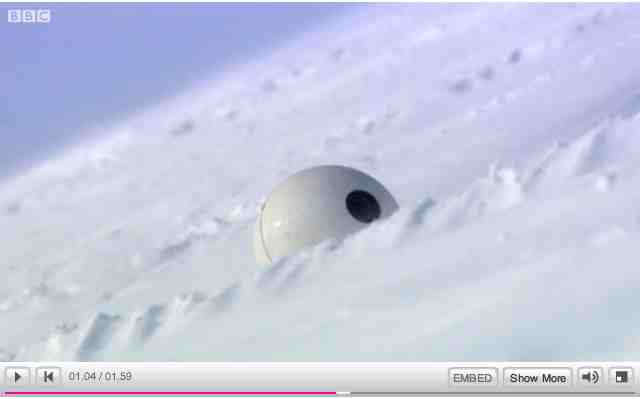 Snowball Cam in the snow, image from“Polar Bear: Spy on the Ice”/BBC One, youtube.com 