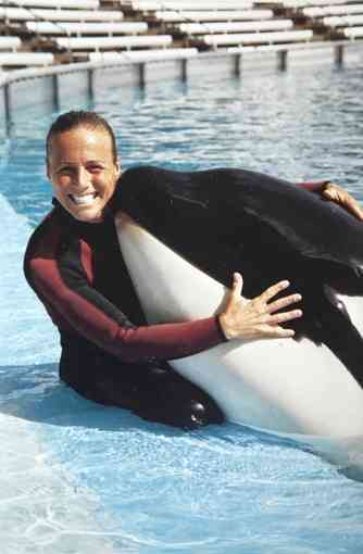 Dawn Brancheau with unidentified killer whale, SeaWorld Orlando, undated/family photo, Chicago Tribune, chicagotribune.com