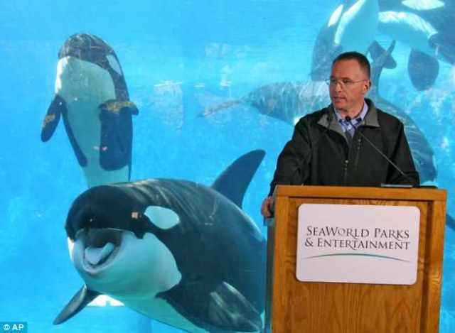 SeaWorld President & CEO Jim Atchison addresses reporters at press conference, Feb 26 2010/AP, MailOnline, dailymail.co.uk