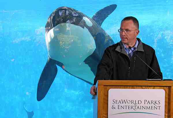 SeaWorld CEO Jim Atchison speaks at a press conference with unidentified orca in background two days after Dawn Brancheau’s death, SeaWorld Orlando, Feb 26 2010/Red Huber, Orlando Sentinel, orlandosentinel.com