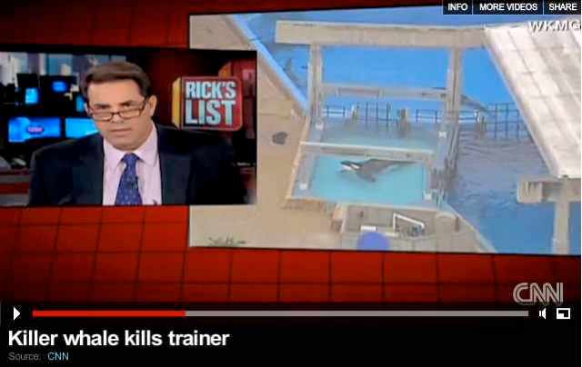 Rick Sanchez, then host of of “Rick’s List,” reports breaking news of Tilikum’s attack, Feb 24 2010/cnn.com