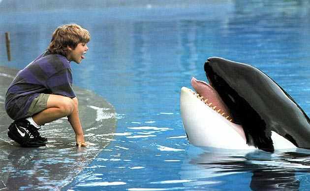 Jason James Richter & Keiko in scene from “Free Willy,” Warner Bros, July 16, 1993/listal.com