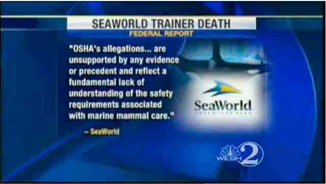 SeaWorld response to OSHA report, Aug 23, 2010/WESH 2 News, youtube.com
