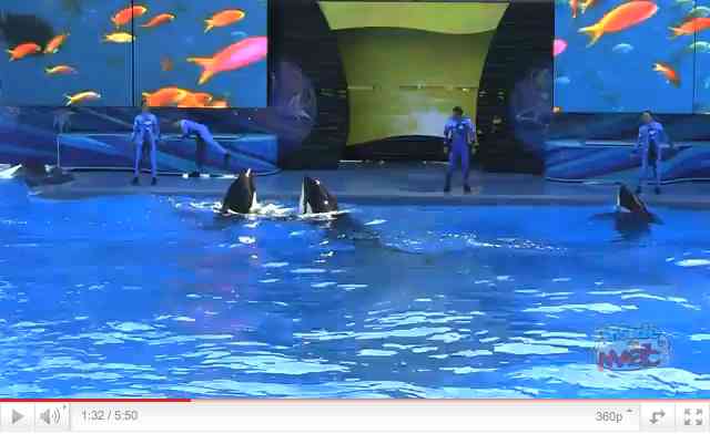 Orcas and trainers at center stage during first performance of "One Ocean," SeaWorld Orlando April 22 2011, image from video/InsideTheMagic, youtube.com