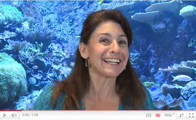 Julie Scardina, SeaWorld Parks & Entertainment Curator of Animal Training, talks about “One Ocean”/SeaWorld, Inc., youtube