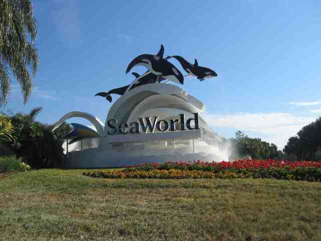 SeaWorld Orlando, undated/buzzingstock.in