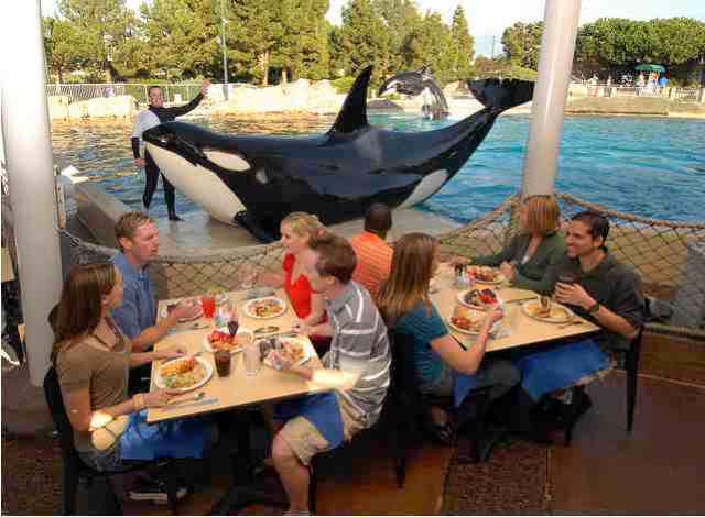 Dine with Shamu, park unspecified, January 08/SeaWorld, Inc., Alyssa Scully, flickr.com