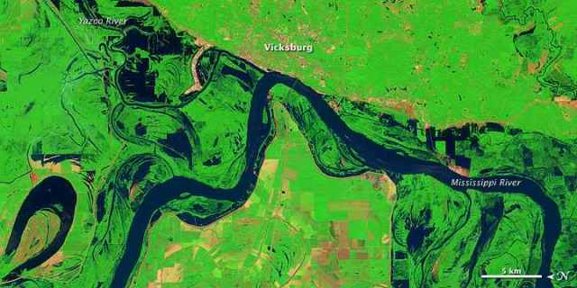 Landsat 5 Satellite image of lingering floodwaters near Vicksburg, MS, June 11, 2011/USGS, NASA Earth Observatory, earthobservatory.nasa.gov