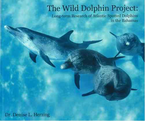 The Wild Dolphin Project (WDP, 2002) / Cover image courtesy of The Wild Dolphin Project, wilddolphinproject.org