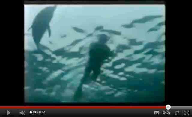 Robin Williams & Stubby, Bahamas, 1992/ “In the Wild: Dolphins with Robin Williams,” PBS, part 3, 2 of 3, youtube.com