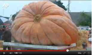 Really big pumpkin, Half Moon Bay, CA, Oct 10, 2011/AP