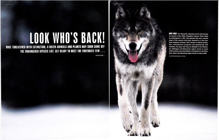 "Look Who's Back!" Life, January 1999