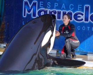 Marion Cotillard & unidentified captive orca, Marineland, Antibes Frances, undated/lemonglass, LucyWho.com Marion Cotillard & unidentified captive orca, Marineland, Antibes Frances, undated/lemonglass, LucyWho.com