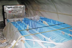 Five dolphins, captured in Taiji, aboard Hong Kong Airlines charter flight from Osaka, Japan to Hanoi, Vietnam, Jan 16, 2012/Hong Kong Airlines, Examiner.com