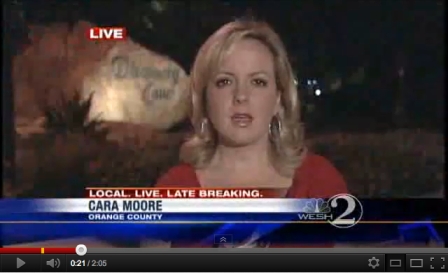 Cara Moore, WESH 2 News, reports on lightning strike at Discovery Cove, Orlando FL, Aug 16, 2011/WESH 2 News, YouTube.com