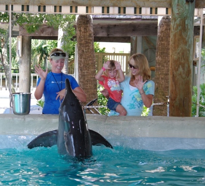Unidentified rough-toothed dolphin, trainer and visitors, Gulf World Marine Park, undated/gulfworldmarinepark.com