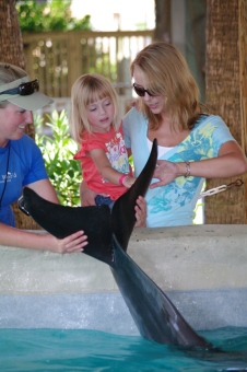 Rough-toothed dolphin, trainer and visitors, Gulf World Marine Park, undated/gulfworldmarinepark.com