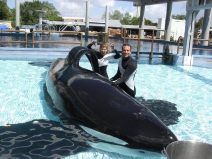 Tilikum & unidentified trainers, SeaWorld Orlando, undated/ “Occupy SeaWorld,” Seattle PI