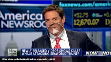 Bill Hemmer discusses release of 2006 SeaWorld orca-attack video on Fox News program "America's Newsroom,"July 25, 2012/foxnews.com