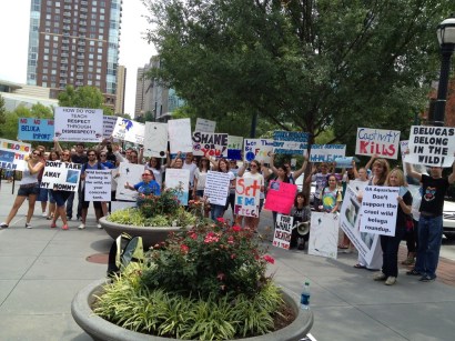 Anti-Beluga Import protest outside Georgia Aquarium, July 21, 2012/VeganESP.com