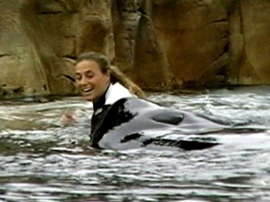 Dawn Brancheau & Tilikum, moments before attack, SeaWorld Orlando, Feb 24, 2011/ Todd Connell, cfnews13.com Dawn Brancheau & Tilikum, moments before attack, SeaWorld Orlando, Feb 24, 2011/ Todd Connell, cfnews13.com