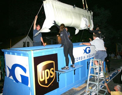 Georgia Aquarium staff load unidentified beluga into transport container, location and date unknown/UPS, howstuffworks.com Georgia Aquarium staff load unidentified beluga into transport container, location and date unknown/UPS, howstuffworks.com