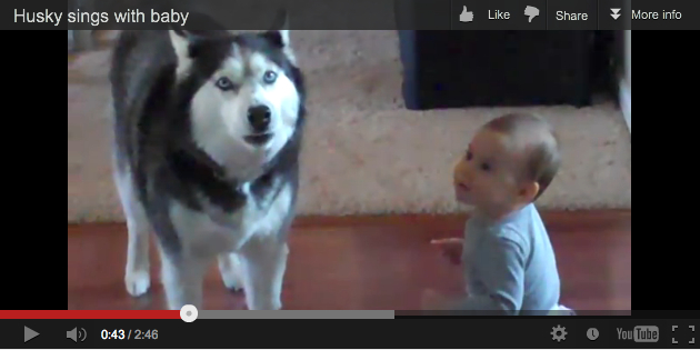 Unidentified husky and baby sing together, undated/k945.com