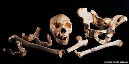 Human fossils from the Pit of Bones near Burgos, Spain/Science Photo Library, BBC News