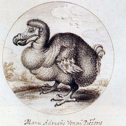 Dodo/Wikimedia Commons, Science World Report