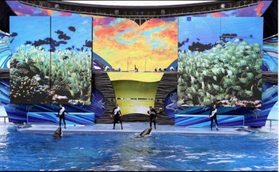 Shamu Stadium, SeaWorld Orlando, Dec 3, Ricardo Ramirez Buxeda, Orlando Sentinel