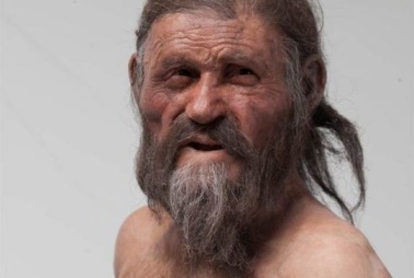 Reconstructed image of Ötzi, the Iceman, found mummified in Italian Alps in 1991/Kennis. South Tyrol Museum of Archaeology, Foto Ochsenreiter. LiveScience