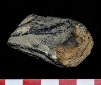Fossil found in Berlin-Ichthyosaur State Park, AZ, thought to be part of beak of giant cephalopod, undated/Mark McMenamin, LiveScience.com