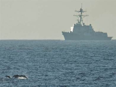 Dolphins and USS Halsey off Southern California, undated/James R. Evans, U.S. Pacific Fleet, NBC News