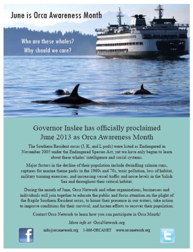 Orca Network Celebrates Orca Month/Orcanetwork.org