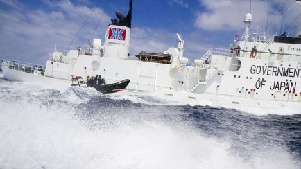 Sea Shepherd activists and Japanese whaling vessel Shonan Maru 2, January 2012/Reuters, The Sydney Morning Herald 