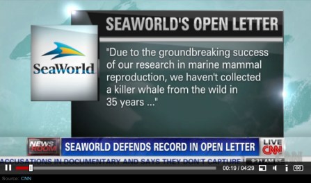 Still from CNN report about SeaWorld's full-page ads defending captivity/CNN 