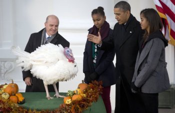 President Obama, daughters Sasha (left) and Malia with pardoned turkey, Popcorn, Nov 27, 2013/Carolyn Kaster, AP, NPR