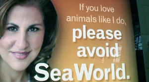 Kathy Najimi anti-SeaWorld Ad for PETA, Lindbergh Field, San Diego, CA, undated/NBC 7 San Diego