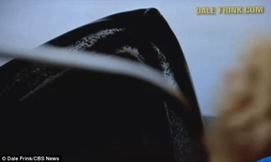 Feeding Blue Whale, still from video, off San Diego, July 2, 2014/Dale Frink, CBS News, Mail Online