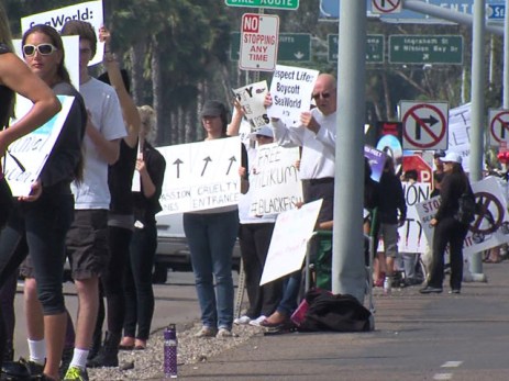 Protesters outside SeaWorld San Diego, Feb 16, 2014/ABC 10 News