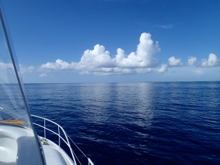 August 4, 2015 / Click to enlarge