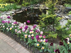 Jefferson Market Garden, Greenwich Village, NYC 4/22/16