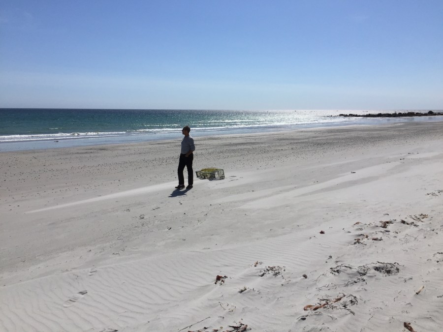 Cape Sable Island, NS, 9/14/16