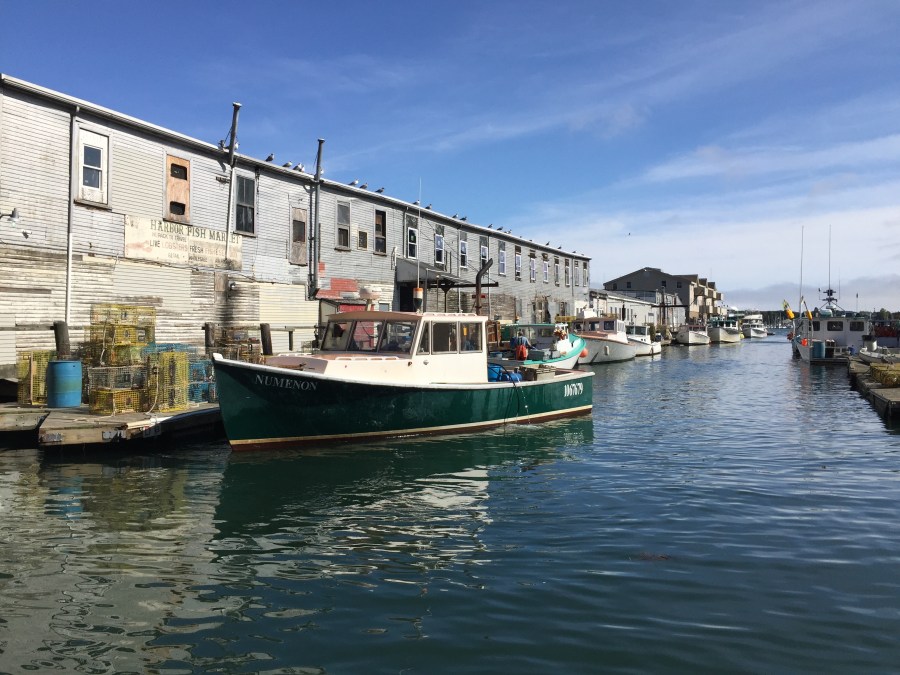 Portland Harbor, 9/20/16