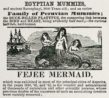 Advertisement for P.T. Barnum's Feejee Mermaid Exhibit, Summer 1842 / Hakai Magazine / Click for more. Advertisement for P.T. Barnum's Feejee Mermaid Exhibit, Summer 1842 / Hakai Magazine / Click for more.